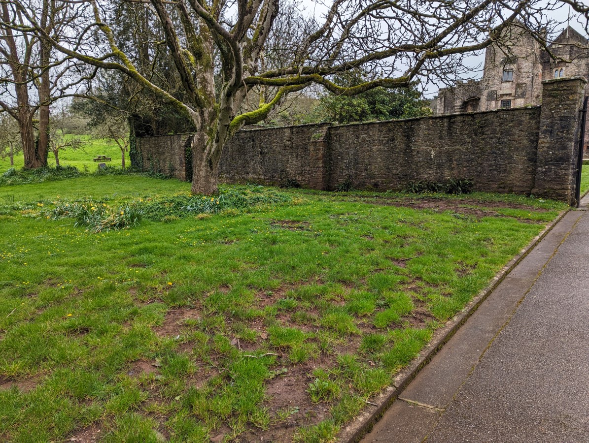 Compton Castle - Grounds | AccessAble