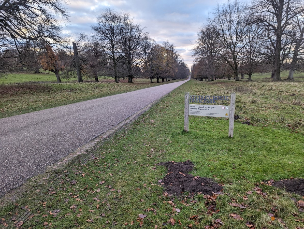 Fountains Abbey and Studley Royal Water Garden Deer Park AccessAble