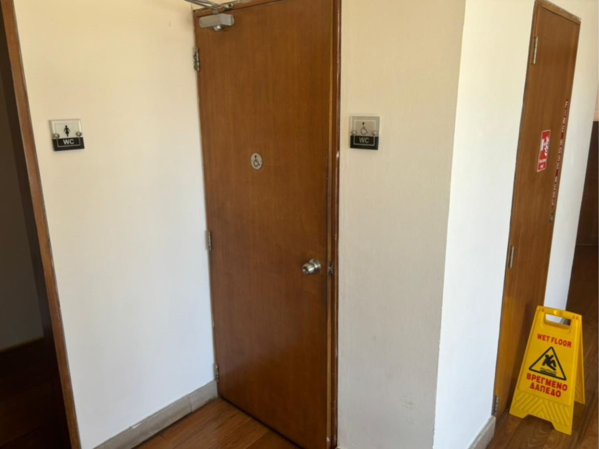 Louis Althea Beach Toilets with Adaptations for Disabled People