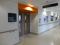 Renal and Urology Outpatient Clinics A and B