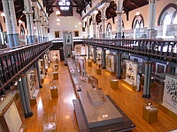 The Hunterian Museum