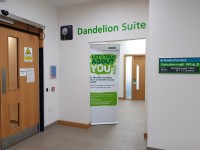 Dandelion Suite