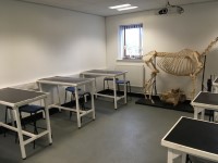 Veterinary Nursing Centre (004) - Anatomy Room
