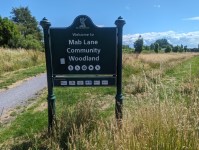 Mab Lane Community Woodland