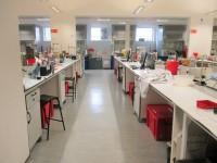 Lab(s) (132W1 - Briscoe Laboratory)