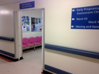 Early Pregnancy Assessment Unit