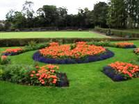 Orangefield Park