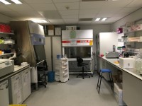 John van Geest Cancer Research Centre (102A) - Proteomics Preparation Area