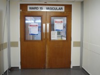 Ward 15 - Vascular