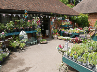 Hever Castle - Courtyard Shop 
