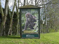 Howletts Wild Animal Park - Car Park, Visitor Entrance, and Shop
