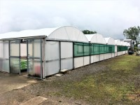 Horticulture Polytunnels