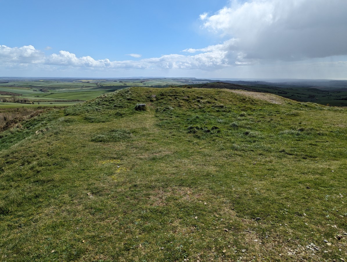 Hardy Monument - Countryside and Monument - National Trust | AccessAble