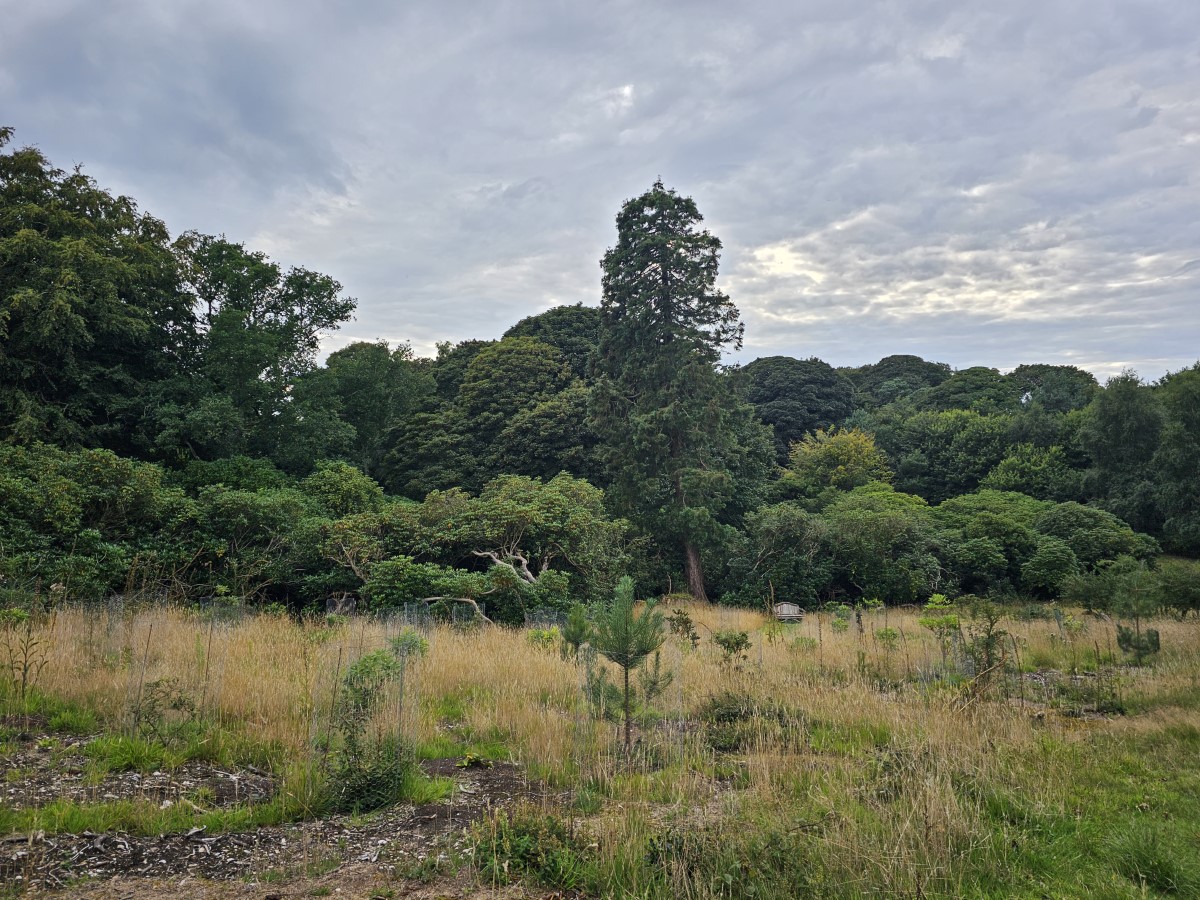 Sheringham Park - Wild Garden and Wild Estate