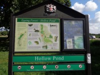 Hollows Pond
