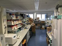 Interdisciplinary Biomedical Research Centre (107)