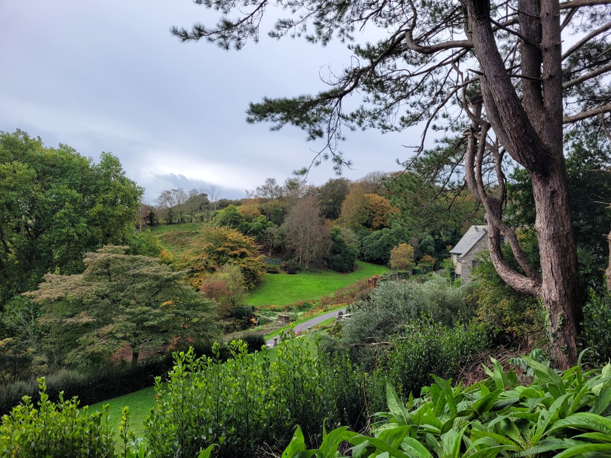 Coleton Fishacre - Garden