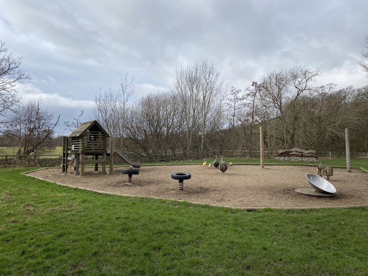 Danby Lodge National Park Centre - Adventure Playground | AccessAble