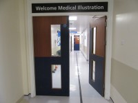 Medical Illustration Unit