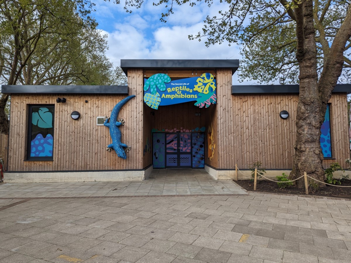 London Zoo - The Secret Life of Reptiles and Amphibians | AccessAble