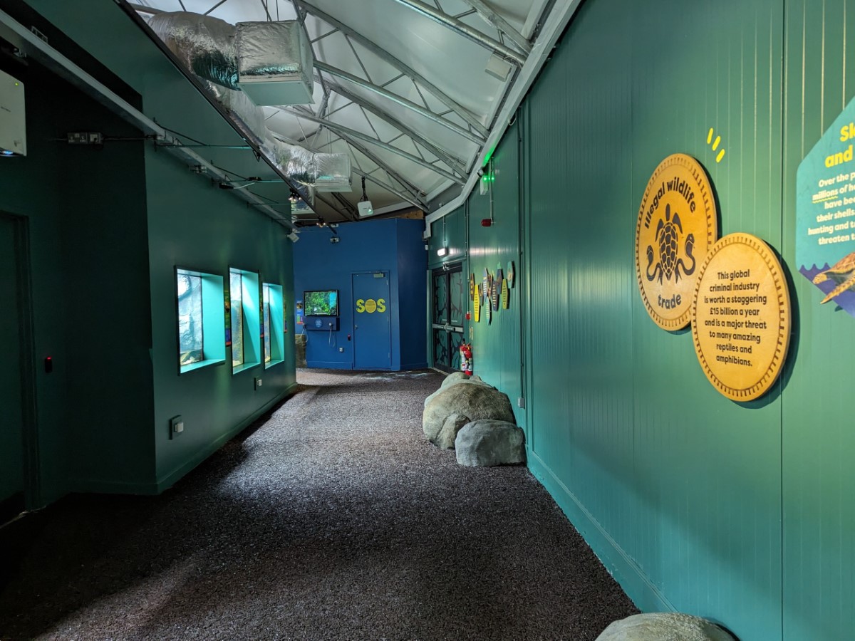 London Zoo - The Secret Life of Reptiles and Amphibians | AccessAble