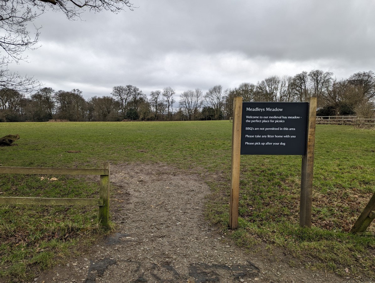 Ashridge Estate -  Meadleys Meadow