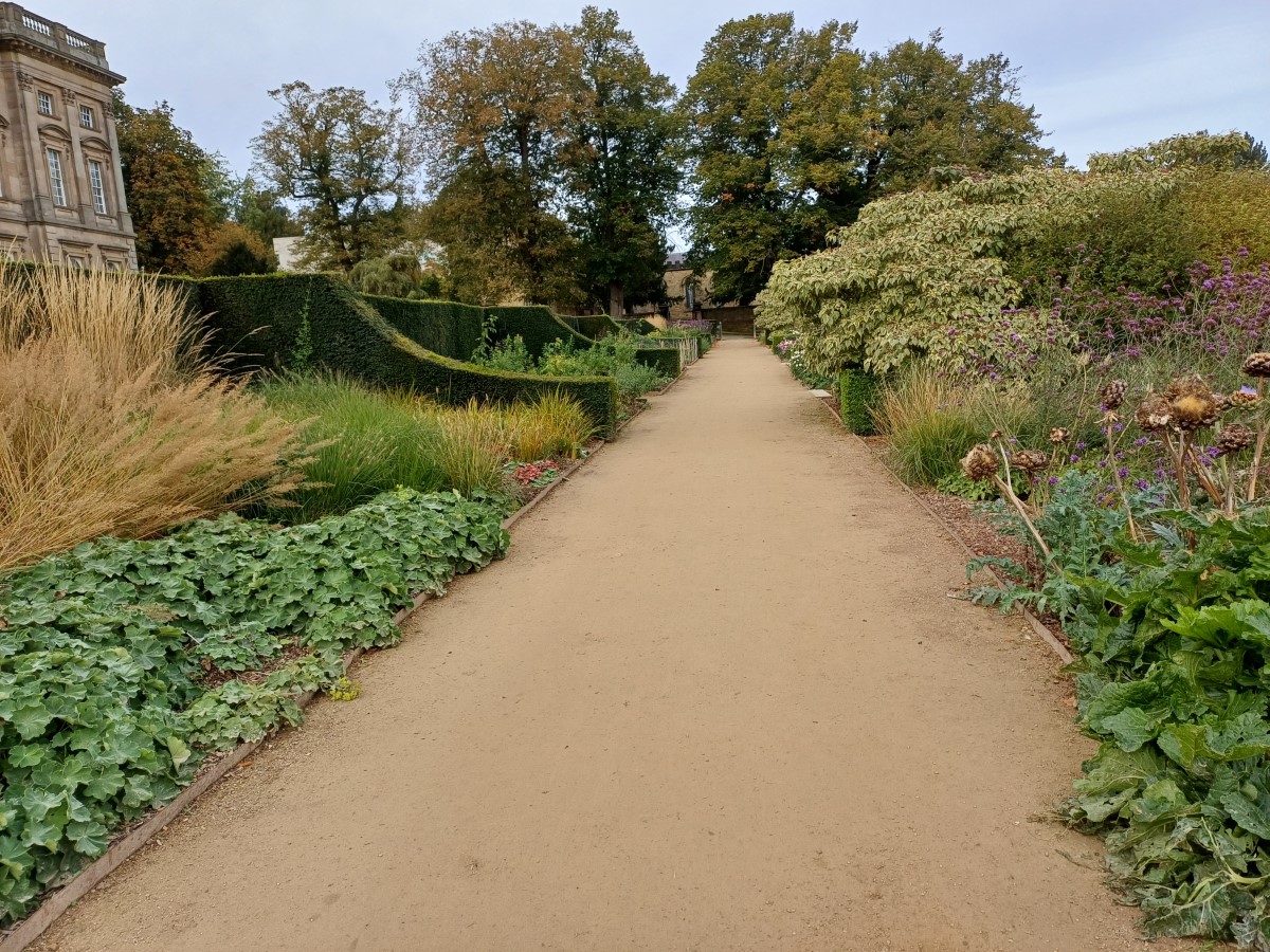 Wentworth Castle Gardens - Outdoor Spaces - Garden and Parkland