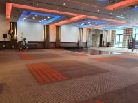 Hilton Dublin Airport - Conference Facilities