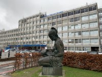 Birmingham Women's Hospital Building Guide