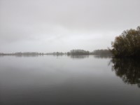 RSPB Fen Drayton Lakes