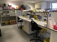 John van Geest Cancer Research Centre (105) - Molecular Lab