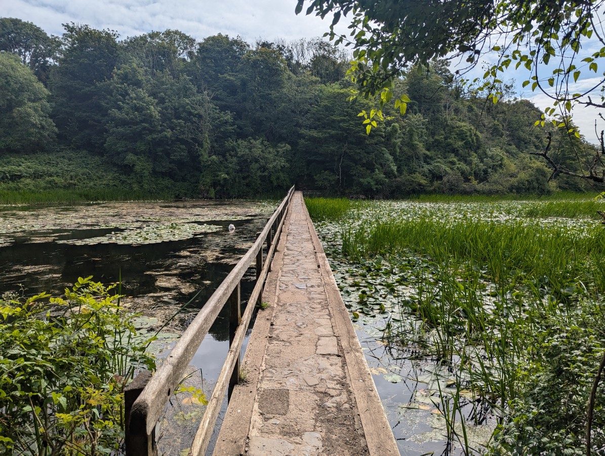 Stackpole Estate - Bosherston Lily Ponds | AccessAble