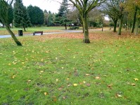 Henley Memorial Park