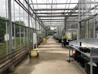 Horticulture Glasshouse (001) - Teaching Area