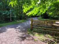 Badgells Wood - Campsite