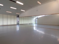 DA.009 - Dance Studio 2