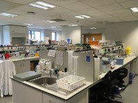 John van Geest Cancer Research Centre (101) - Immunology Lab