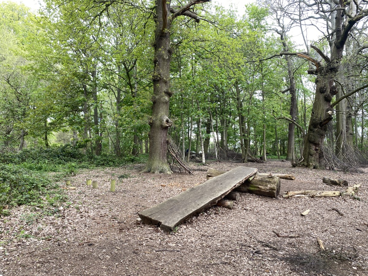 Clumber Park - Leaping Bar Natural Play Area