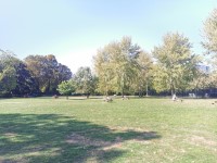 Archbishop's Park