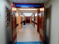 Early Pregnancy Assessment Unit