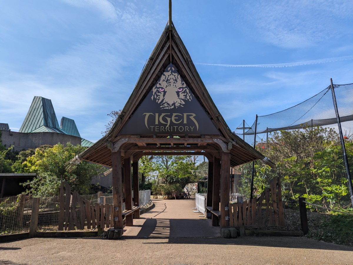 London Zoo - Tiger Territory and Gibbons | AccessAble
