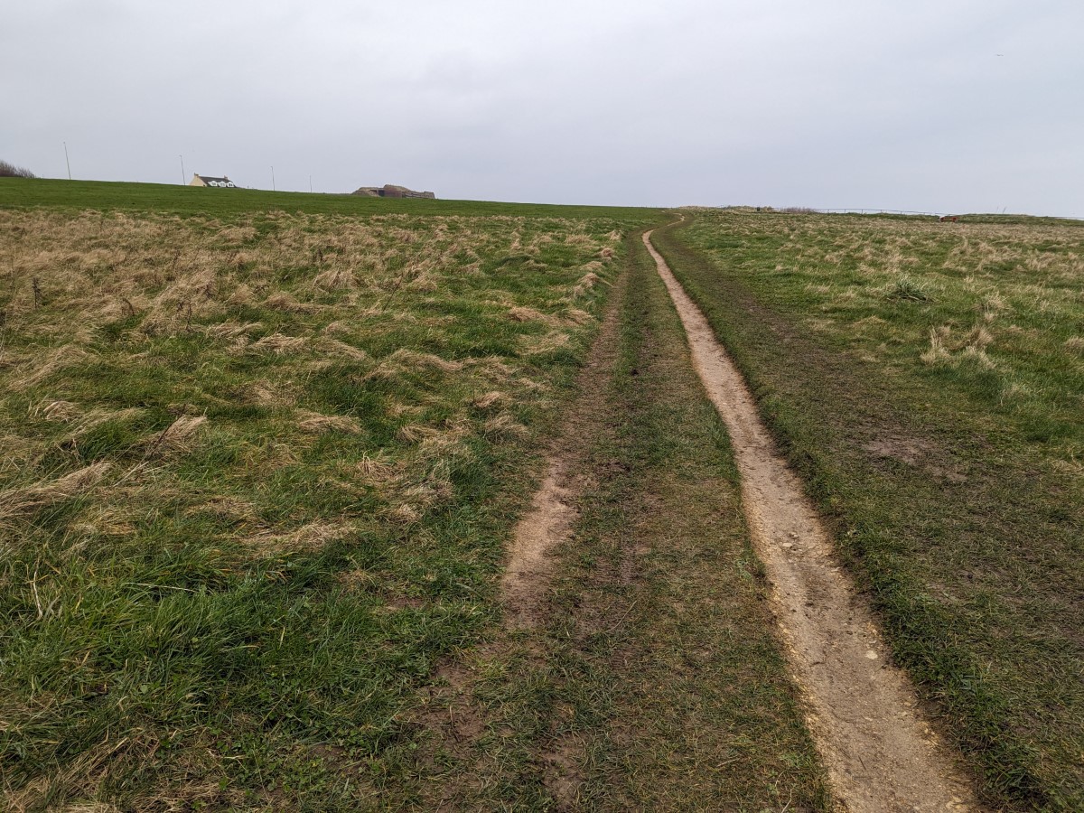 Souter Lighthouse and The Leas - The Leas | AccessAble