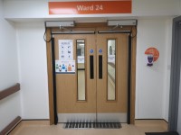 Ward 24