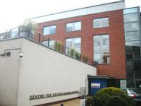 Centre for Neuroimaging Science