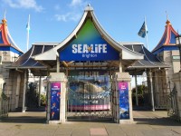 Sea Life Brighton