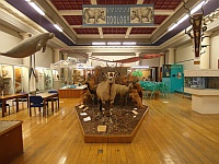 The Hunterian Zoology Museum