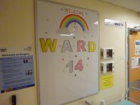 Ward 14