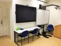 Teaching/Seminar Room(s) (252)